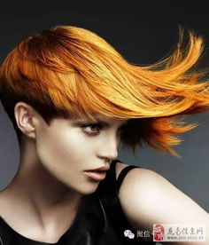 百分百美发生活形象馆 重塑发型，定义生活美学